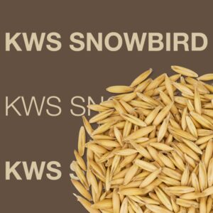 KWS Snowbird